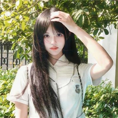 完美的独裁国家